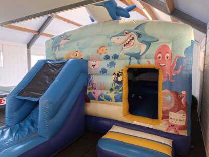 Multifun Dolfijn - Afbeelding 2